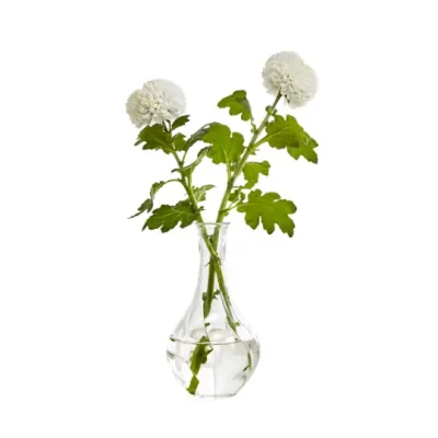 Leje af vase med snoninger