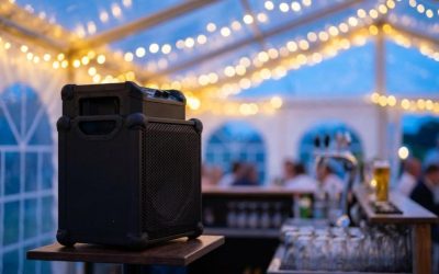 7 svar om Soundboks til fest